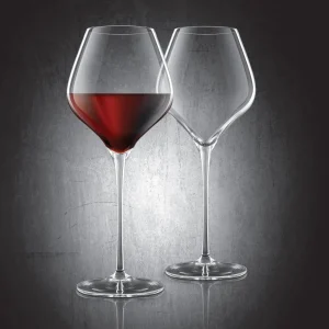 Burgundy Lead-Free Crystal Glasses - Set of 2