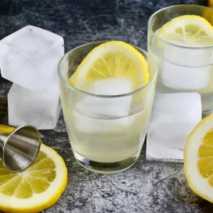 2" Extra-Large 6 Cube Ice Mould